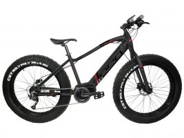 DCO - REALFAT-E 1000W 2025 fat bike electrique road