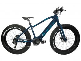 DCO - REALFAT 350W 2025 fatbike electrique fatbike electric