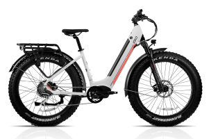 IGO - CORE EXTREME 3.1 EZ electric bike velo electrique