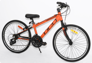 Vélo pour enfant DCO - CONSTELLATION (Alloy/Alliage) - 2018