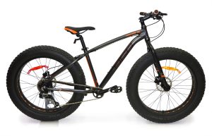DCO - REALFAT 26 - 2017