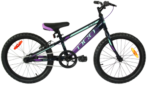 vélo pour enfant DCO - Galaxy 20 Fille - 2020 kid's bike