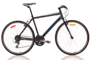 Minelli - Silhouette Sport - 2017